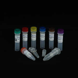 RapidSeq High Yield Directional mRNA Sample Prep Kit - With Aligner 1-12