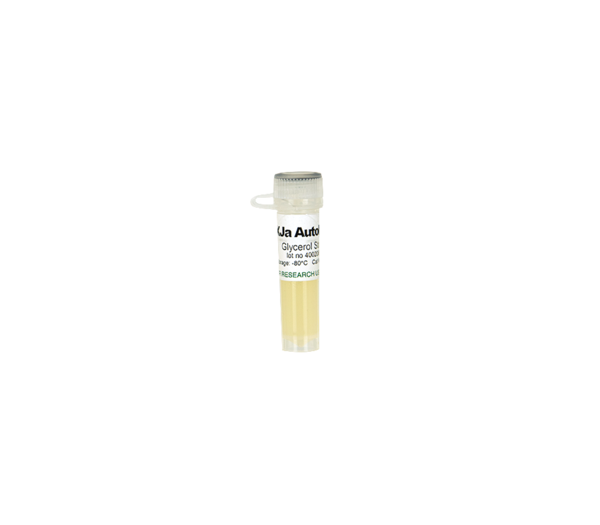 XJa Autolysis Glycerol Stock