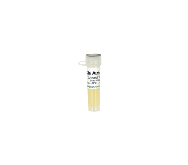 XJb (DE3) Autolysis Glycerol Stock