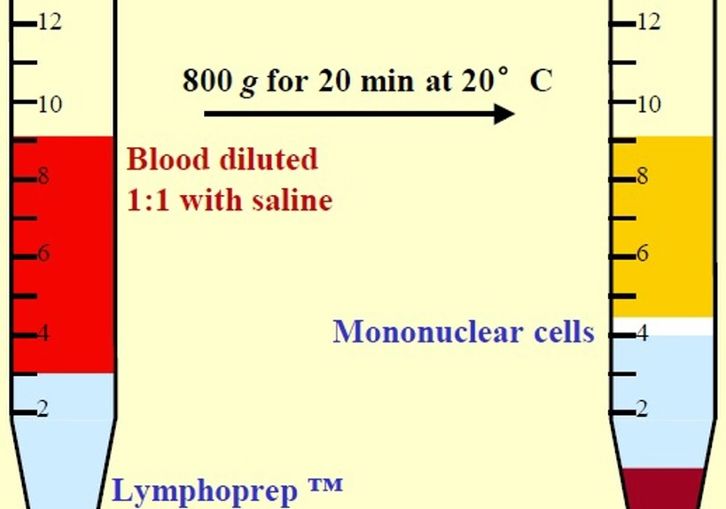 Lymphoprep™